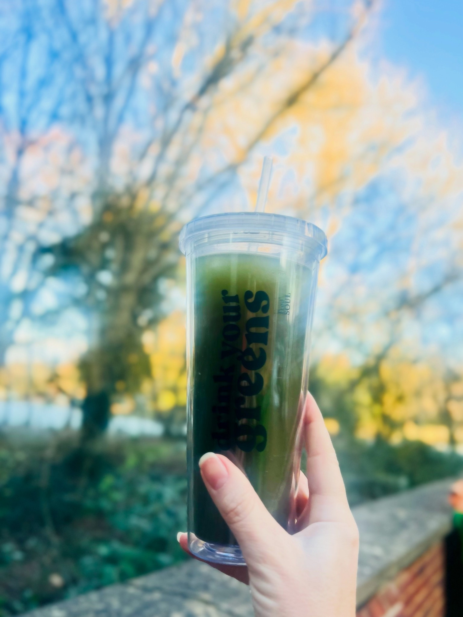 I’m using the Free Soul Drink Your Greens Shake because, honestly, I need all the help I can get and it requires ZERO cooking. My kind of nutrition.

No dramatic transformation, just:
	•	easy mornings
	•	something green going in
	•	emotional support after crisp-based decisions

If you’re like me and want to try be healthier without pretending you’ve suddenly become Gwyneth Paltrow, this fits nicely into normal messy life.

Tap for the exact one I use not to join a pyramid, just to survive breakfast like an adult 😂.

#LTKWellness #FreeSoul #EverydayNotThatGirl #KelsLifeDiaries #10KTraining

#LTKwinter #LTKbeauty #LTKuk