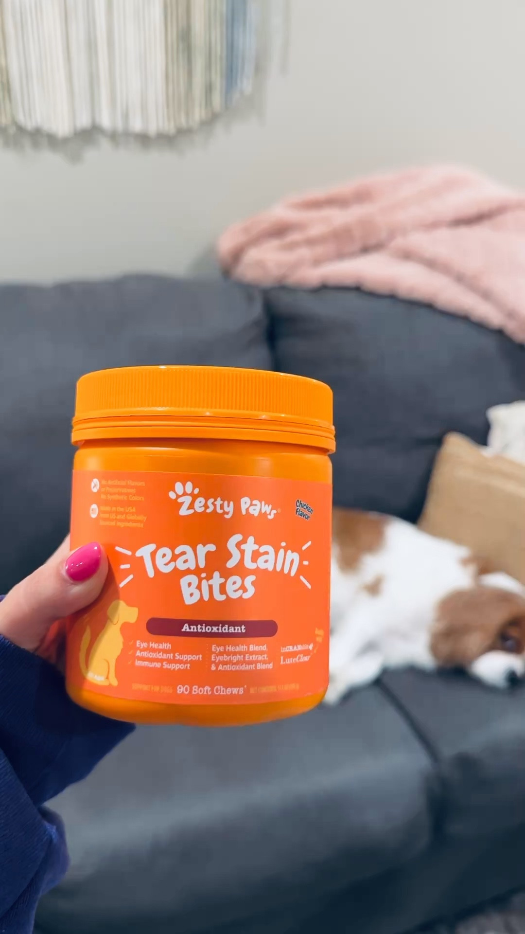 I try to keep Piper’s face (especially around her eyes) as clean as I can, but her eyes are so leaky. She does have allergies, but her medicine for that doesn’t seem to help. I’ve tried some other things from Zesty Paws & figured trying this can’t hurt anything & Piper is happy to have a little treat every night after dinner. 

 
