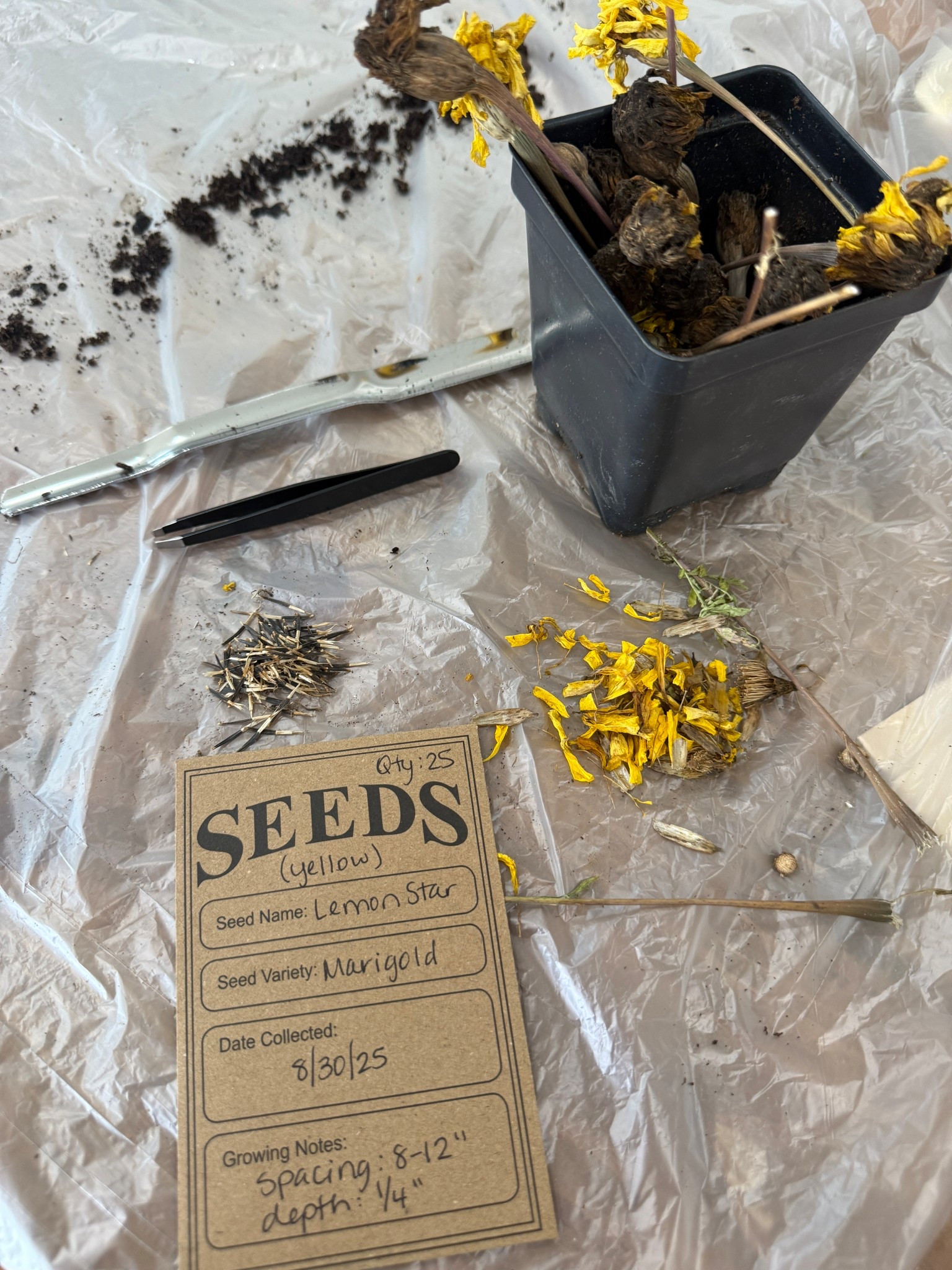  Vintage inspired seed saving envelopes 

#LTKHome