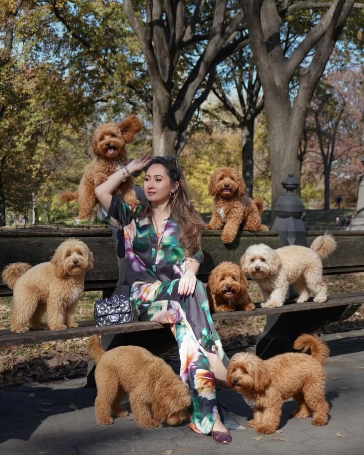 I joined the trend & suddenly my photoshoot turned into a full-on zoo🥹
Find the perfect loungewear from bed to street here 🔥

#LTKGiftGuide #LTKCyberWeek #LTKdayinmylife