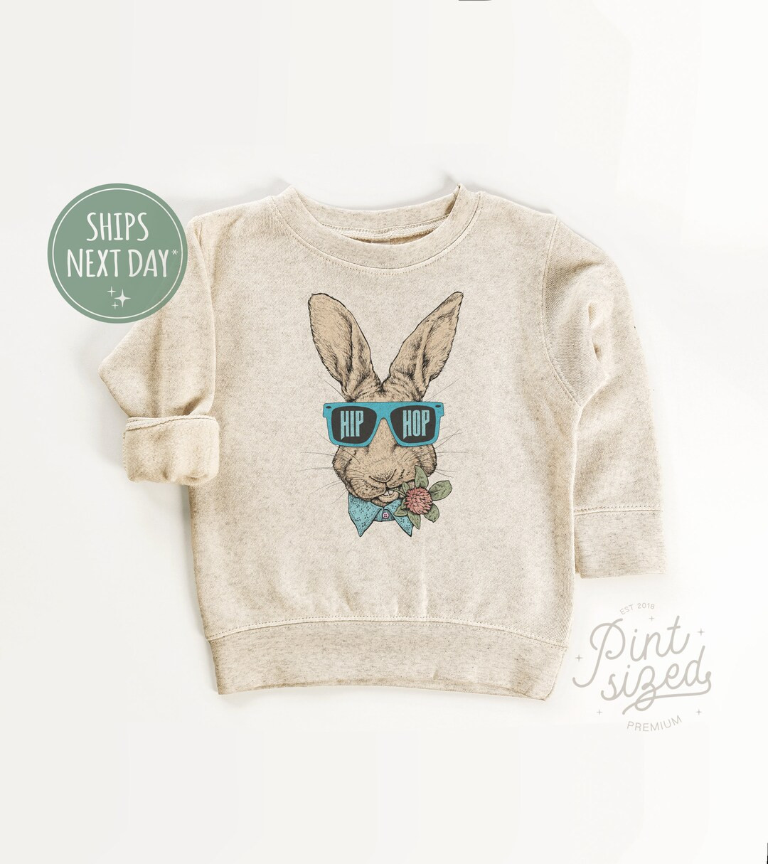 Hip Hop Bunny Toddler Sweatshirt Boys Easter Pullover Hipster Natural Kids Crew Neck - Etsy | Etsy (US)