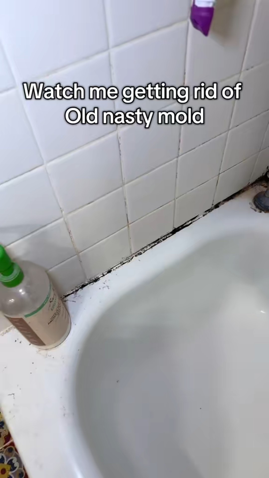 Best mold remover! 

#LTKSaleAlert #LTKmomlife #LTKHome