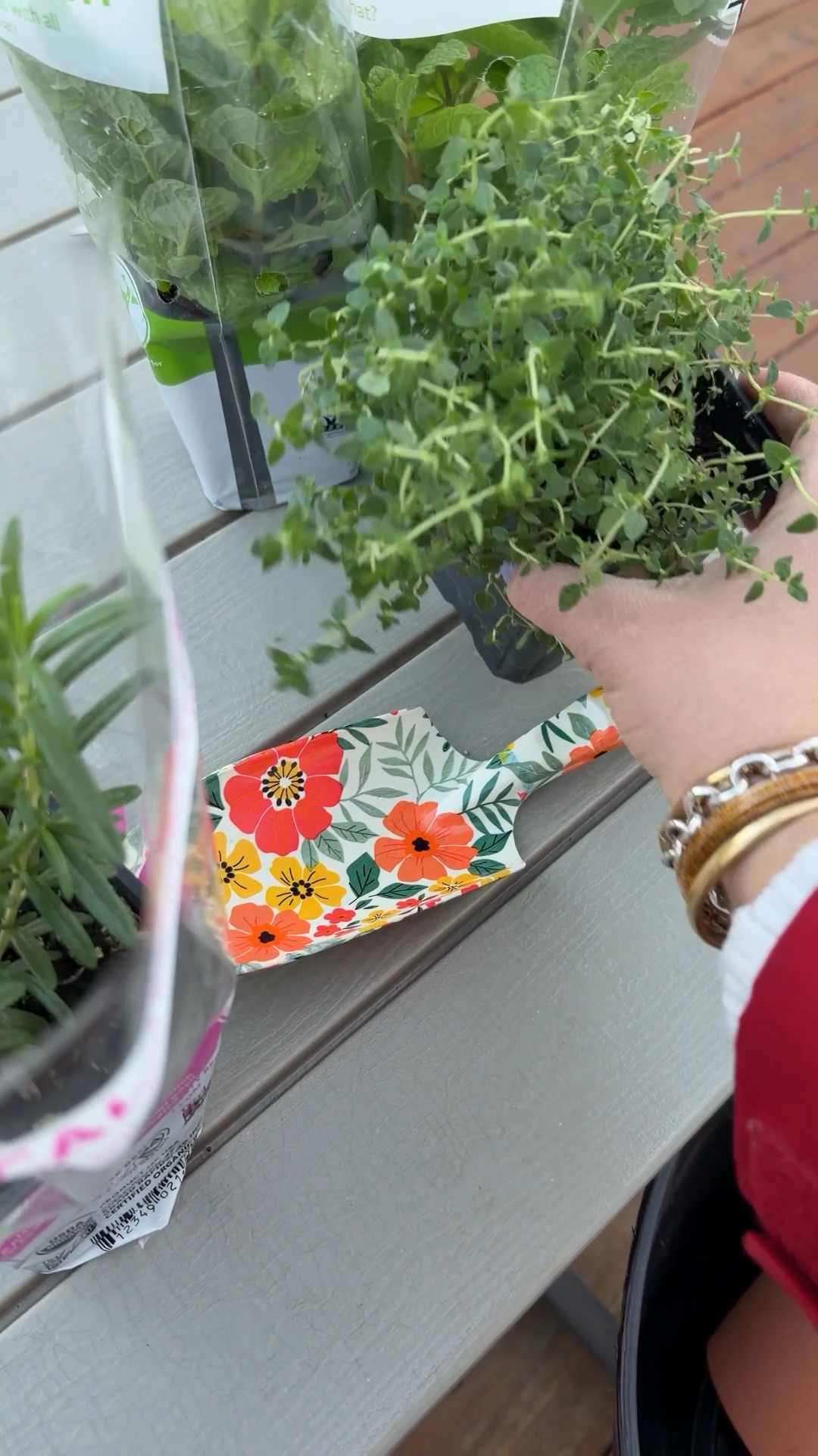 As a new home owner starting my herb garden is a dream come true! I’ve linked my tools & terracotta pots. 

#LTKmomlife #LTKHome #LTKSpringSale