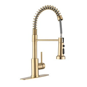 CASAINC Brushed Gold Single Handle Pull-down Kitchen Faucet with Sprayer Function (Deck Plate Inc... | Lowe's