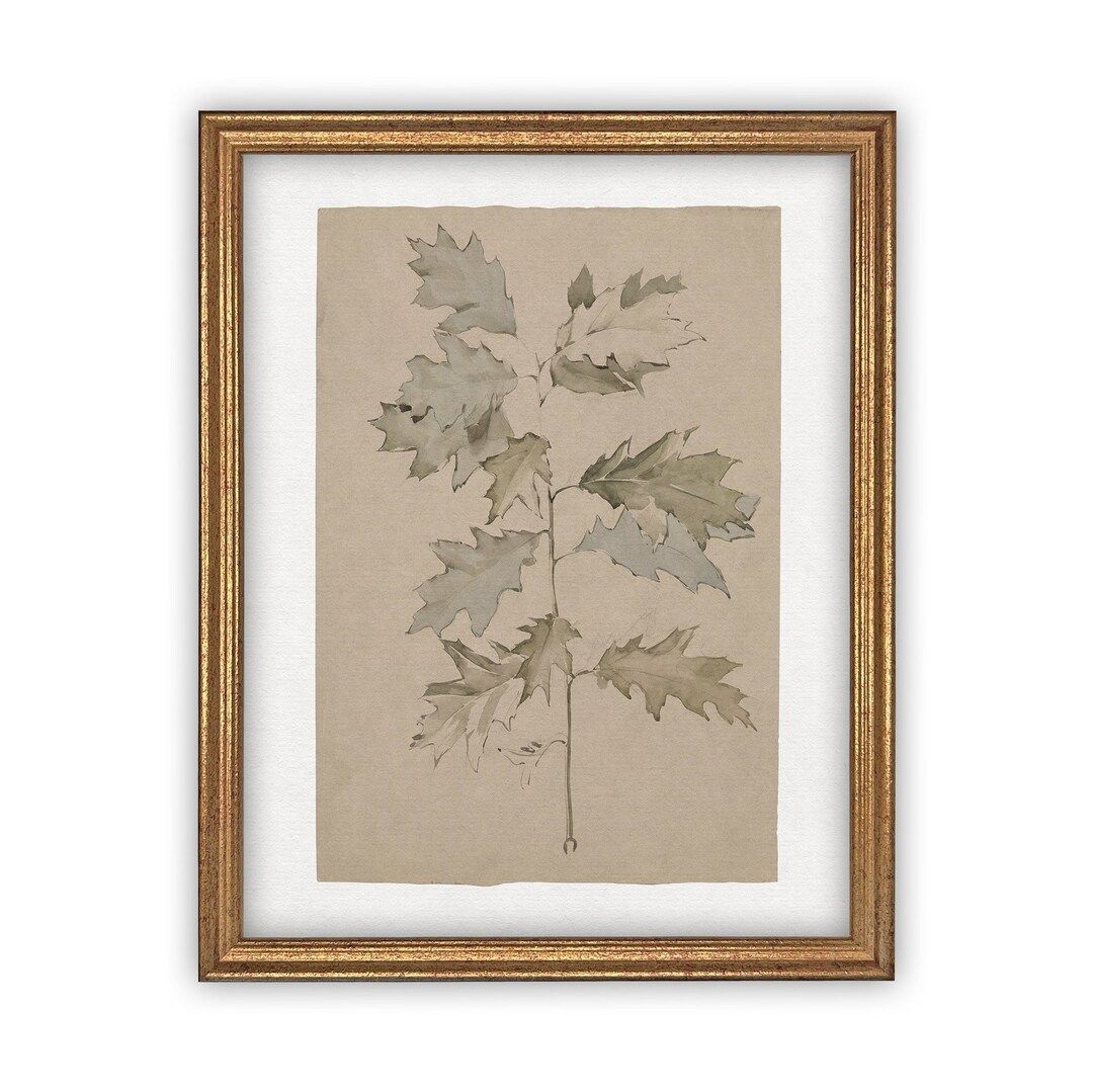 Vintage Framed Canvas Art  // Framed Vintage Print // Vintage Painting // Vintage Botanical Flora... | Etsy (US)