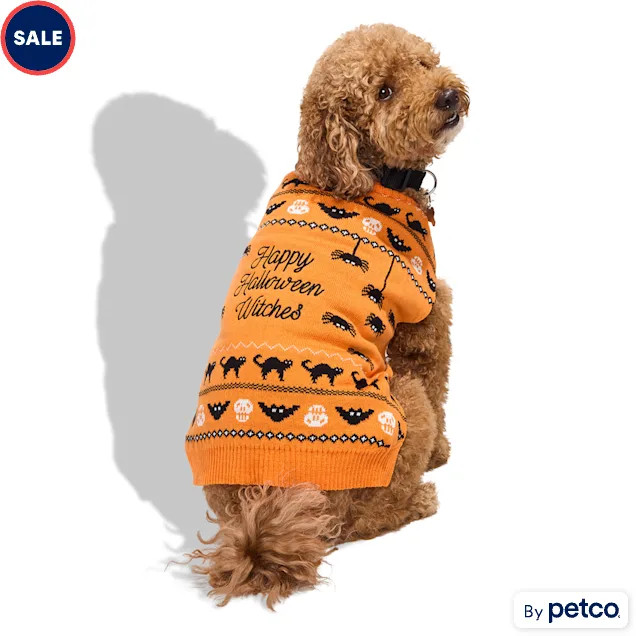 Bootique Witches Knit Pet Sweater, Small | Petco