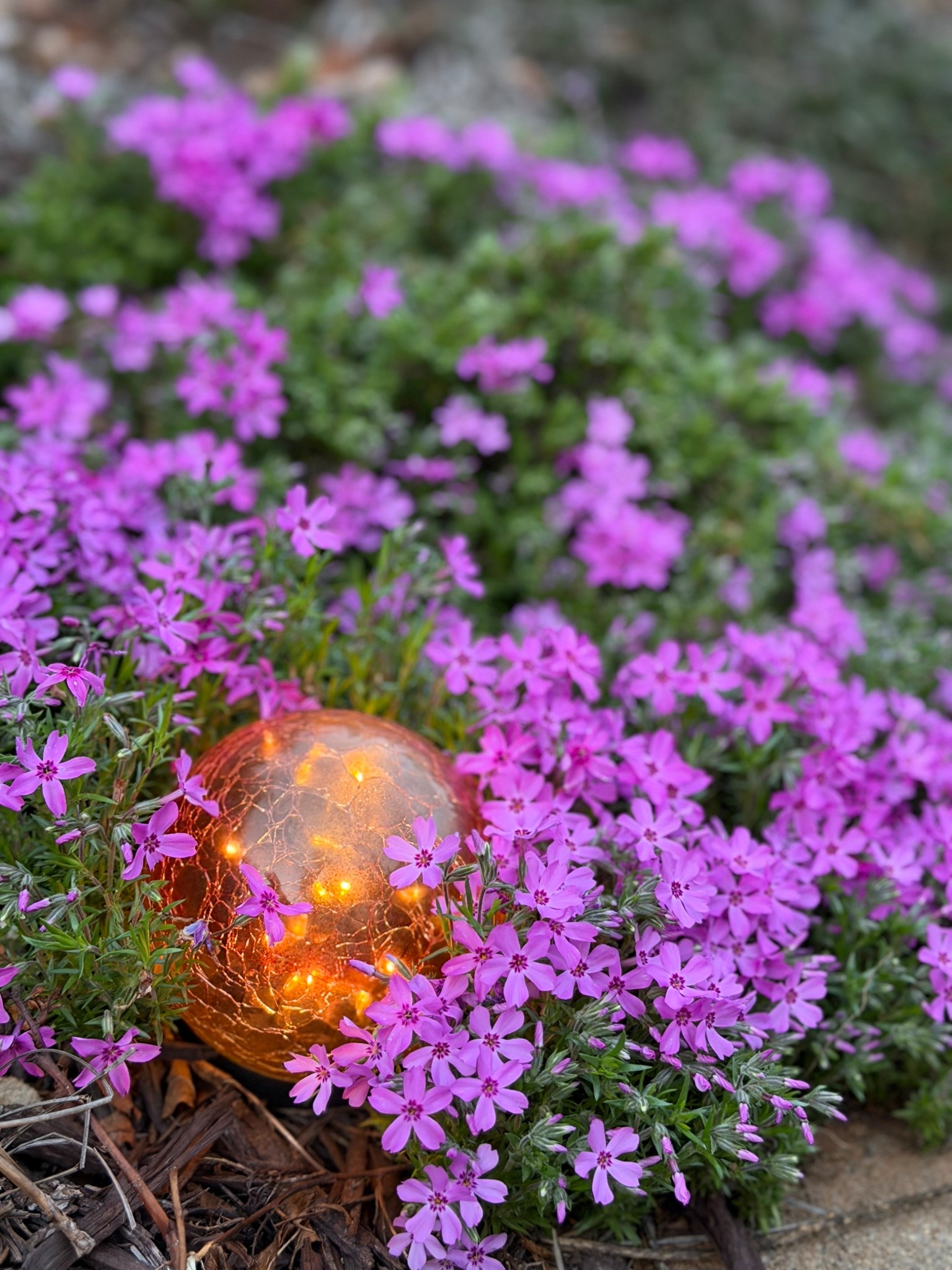 Garden lights dome lights 

#LTKHome