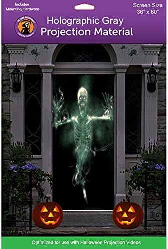 36" x 80" Gray Door Holographic Rear Projection Screen with Mounting Hardware for Projecting Hallowe | Amazon (US)