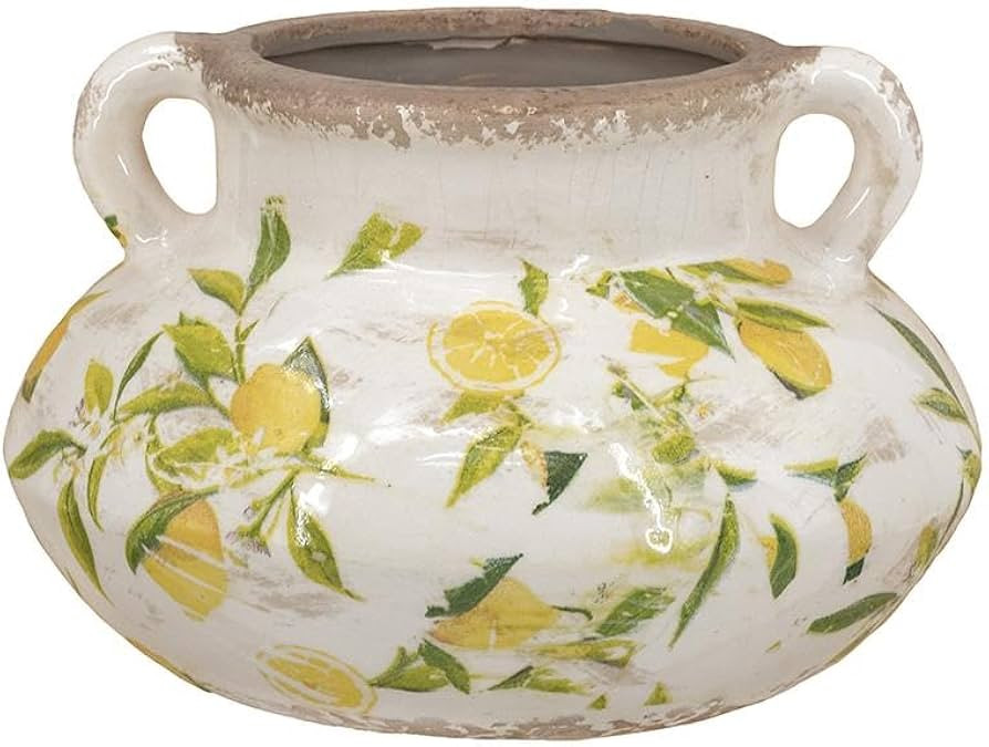 Ceramic Lemon Planter with Handles - Mediterranean Distressed White Flower Pot for Indoor Outdoor... | Amazon (US)