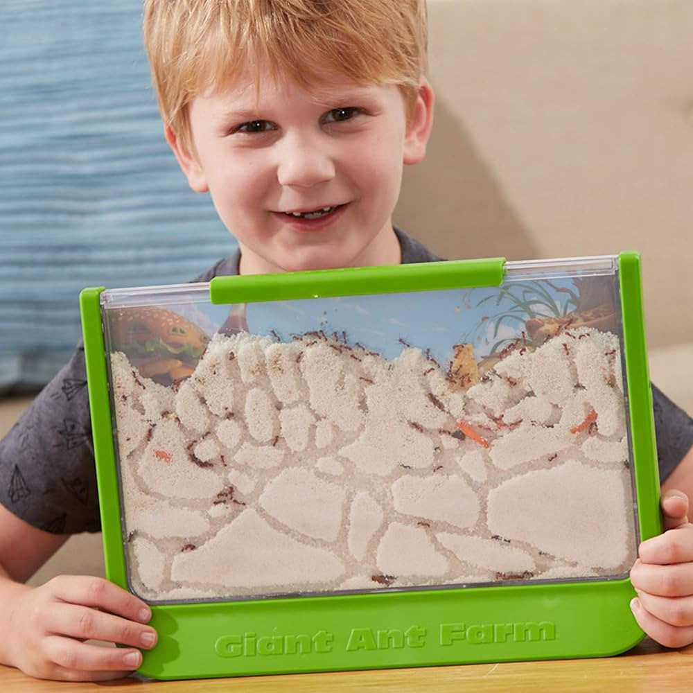 Uncle Milton Giant Ant Farm - Large Viewing Area - Care for Live Ants - Nature Learning Toy - Sci... | Amazon (US)