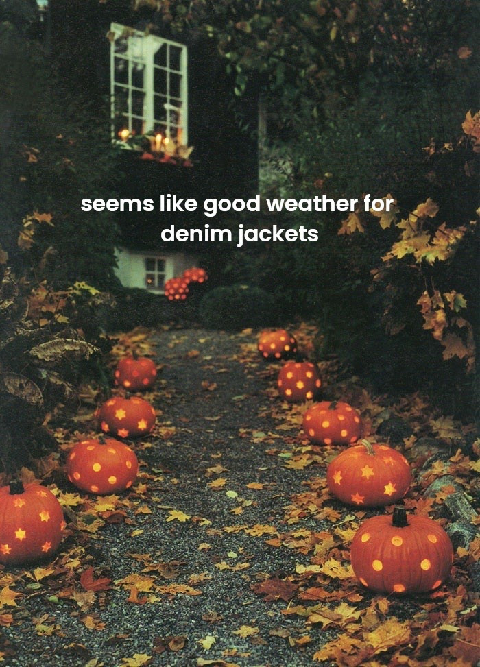 #denimjacket #fall #fallfashion

#LTKTravel #LTKSeasonal #LTKFindsUnder100
