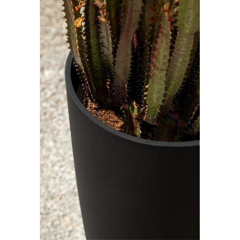 Mason Series Selena Planter | Wayfair North America