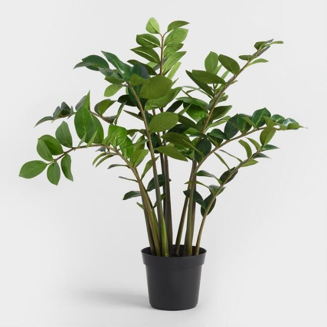 Medium Faux Zamioculcas Plant | World Market
