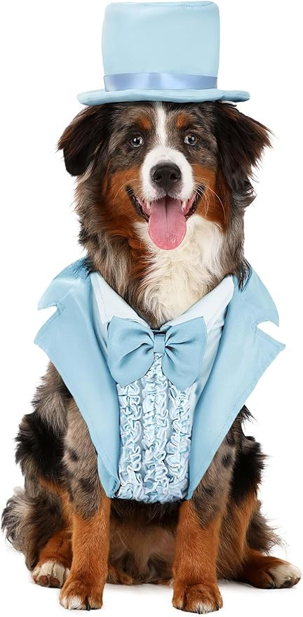 Iconic Pet Light Blue Tuxedo Costume | Movie Pet Costumes XS | Amazon (US)