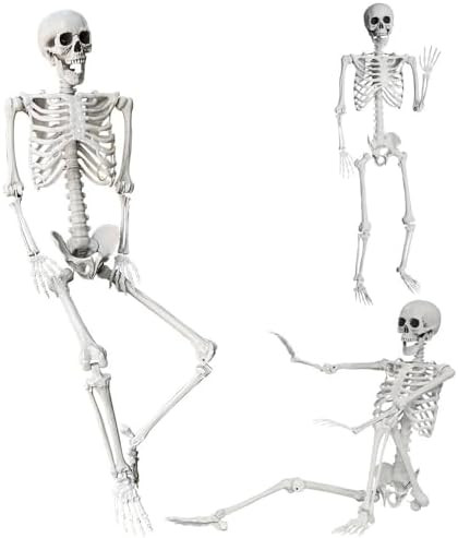Wocst 5.4Ft/165cm Halloween Skeleton Full Body Life Size Human Bones with Movable Joints for Indo... | Amazon (US)