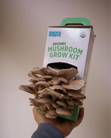 Grow your own mushrooms! 🍄 We love this super easy, kid-friendly DIY mushroom growing kit from Amazon.
