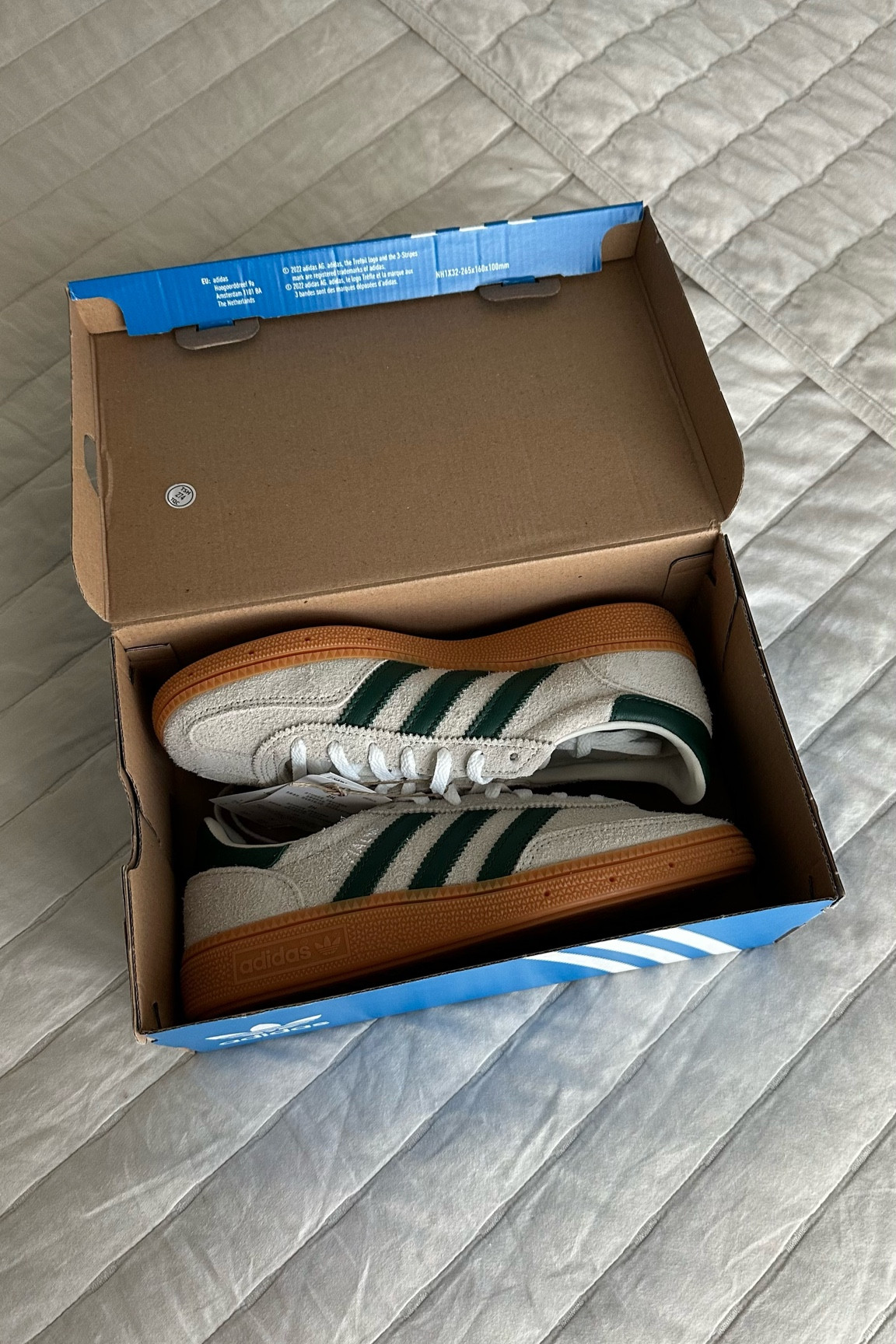 adidas spezials size 5. typically a 6 in all shoes and 5 is perfect!
