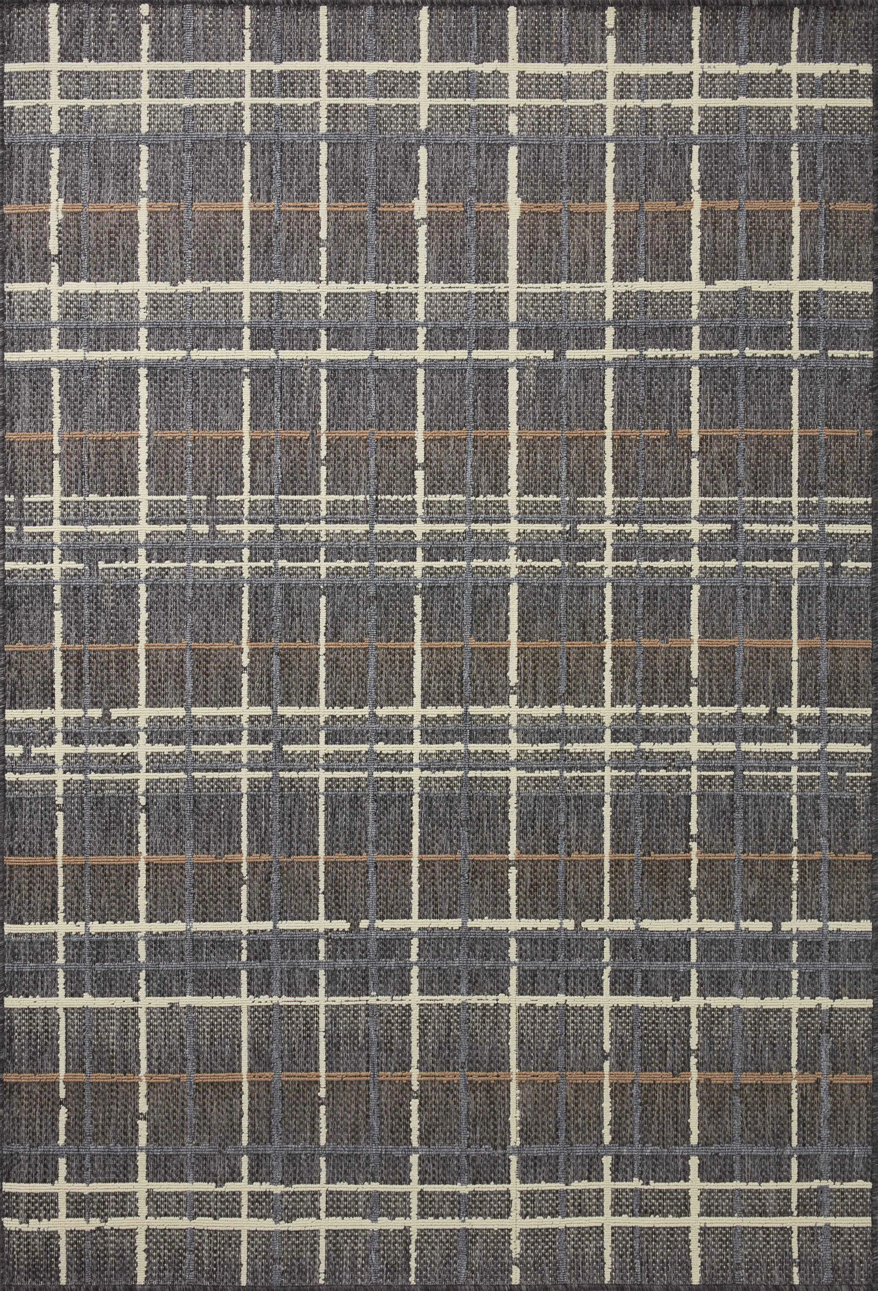Pesina II Charcoal / Multi Indoor/Outdoor Area Rug | Wayfair North America