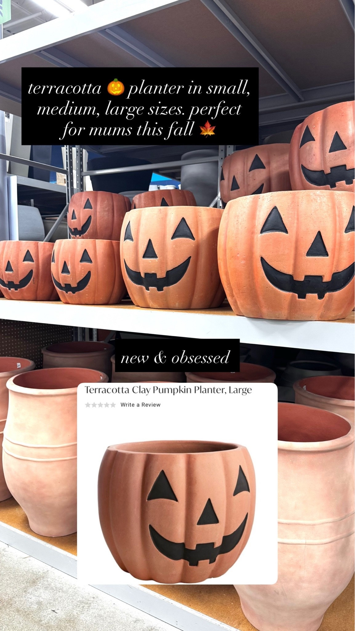 Terracotta jack o lantern planter just screaming for a fall mum to be planted inside 🍁 comes in 3 sizes, small medium & large #spookyseason

#LTKSeasonal #LTKHome