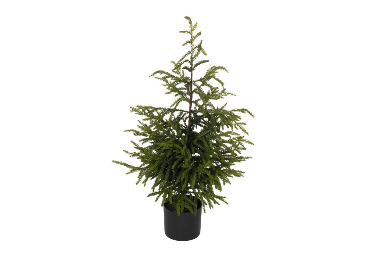 FIR TREE | Petite | Alice Lane Home Collection