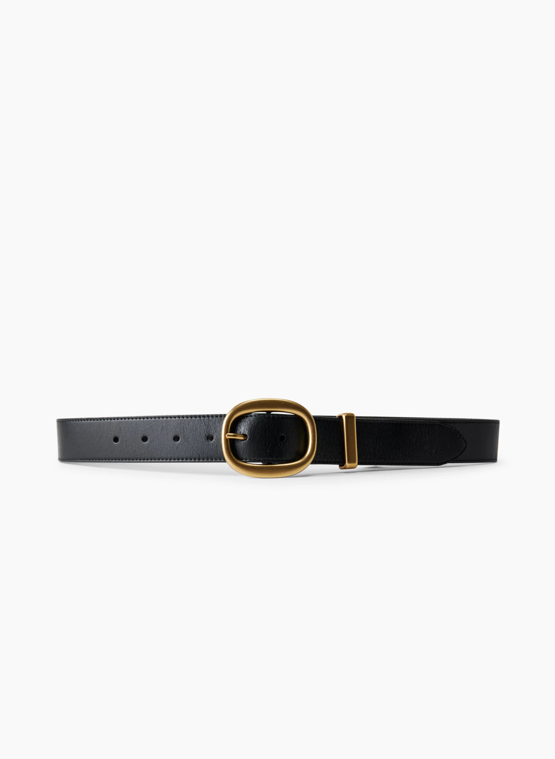 LIFETIME SOLID BRASS LEATHER BELT | Aritzia