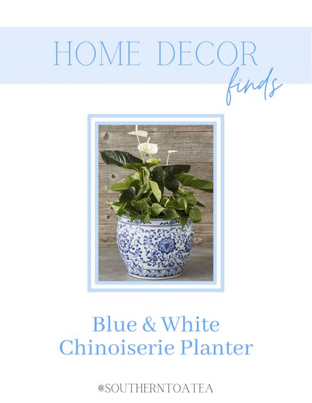 Stunning blue & white chinoiserie planters amazing for both indoor & outdoor plants! I use them on my back porch and even inside with my fiddle leaf fig tree! So timeless and stunning! 

#LTKFind #LTKhome #LTKSeasonal
