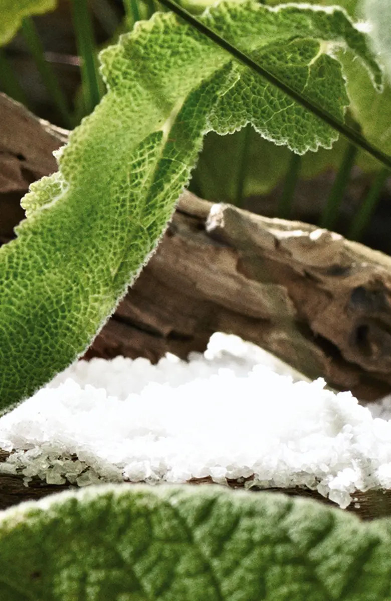 Jo Malone London™ Wood Sage & Sea Salt Scented Home Candle | Nordstrom | Nordstrom