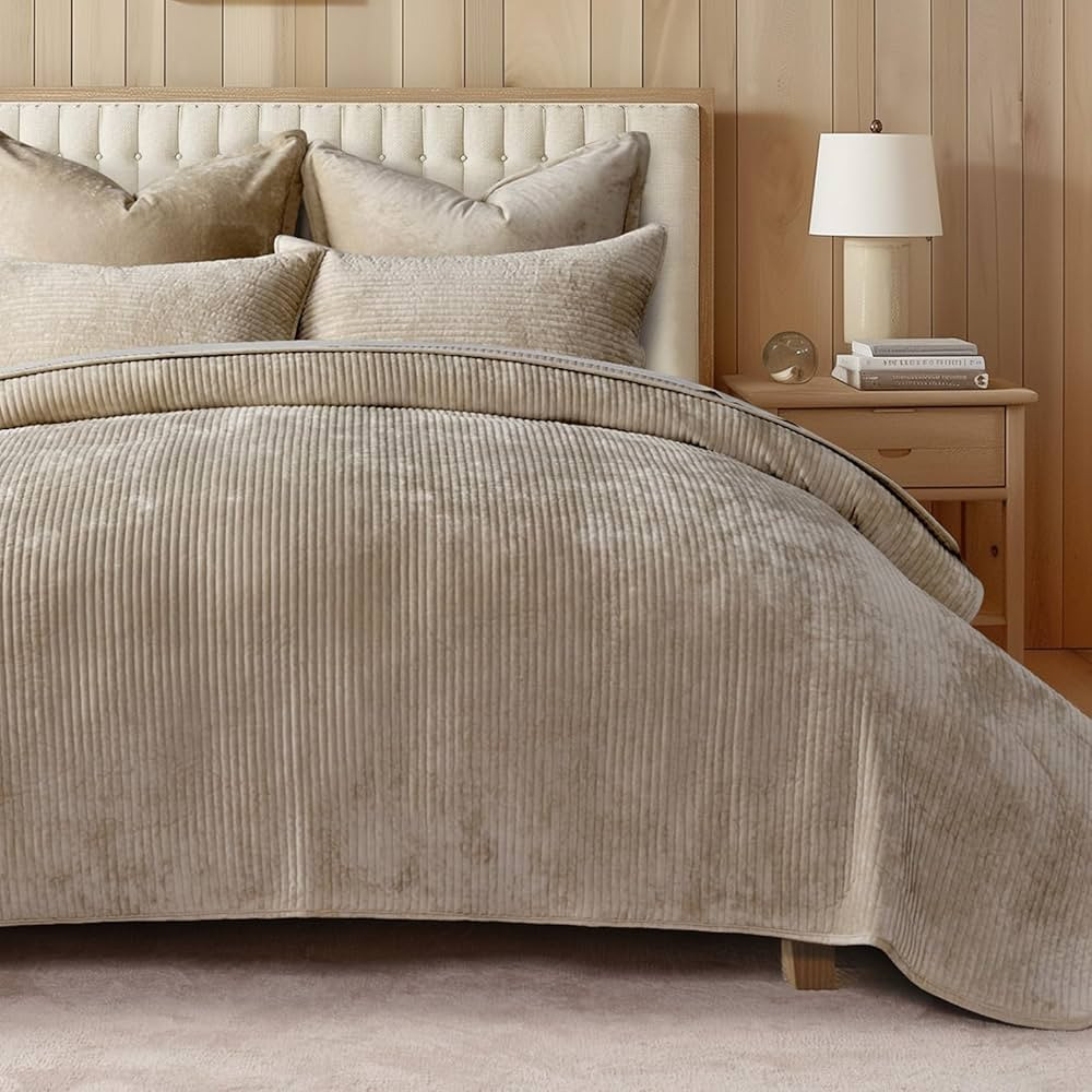 EVERGRACE Velvet Quilt Set Queen Size, Luxurious Soft Quilted Bedding Sets, Lightweight Velvet Co... | Amazon (US)