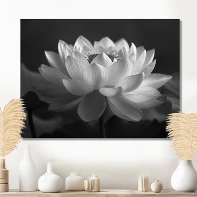 Grey Monochrome Lotus Perfection - Lotus Wall Art Print | Wayfair North America
