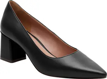 Bilson Pointed Toe Pump | Nordstrom