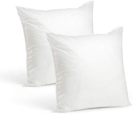 Set of 2-20 x 20 Premium Hypoallergenic Stuffer Pillow Insert Sham Square Form Polyester, Standar... | Amazon (US)