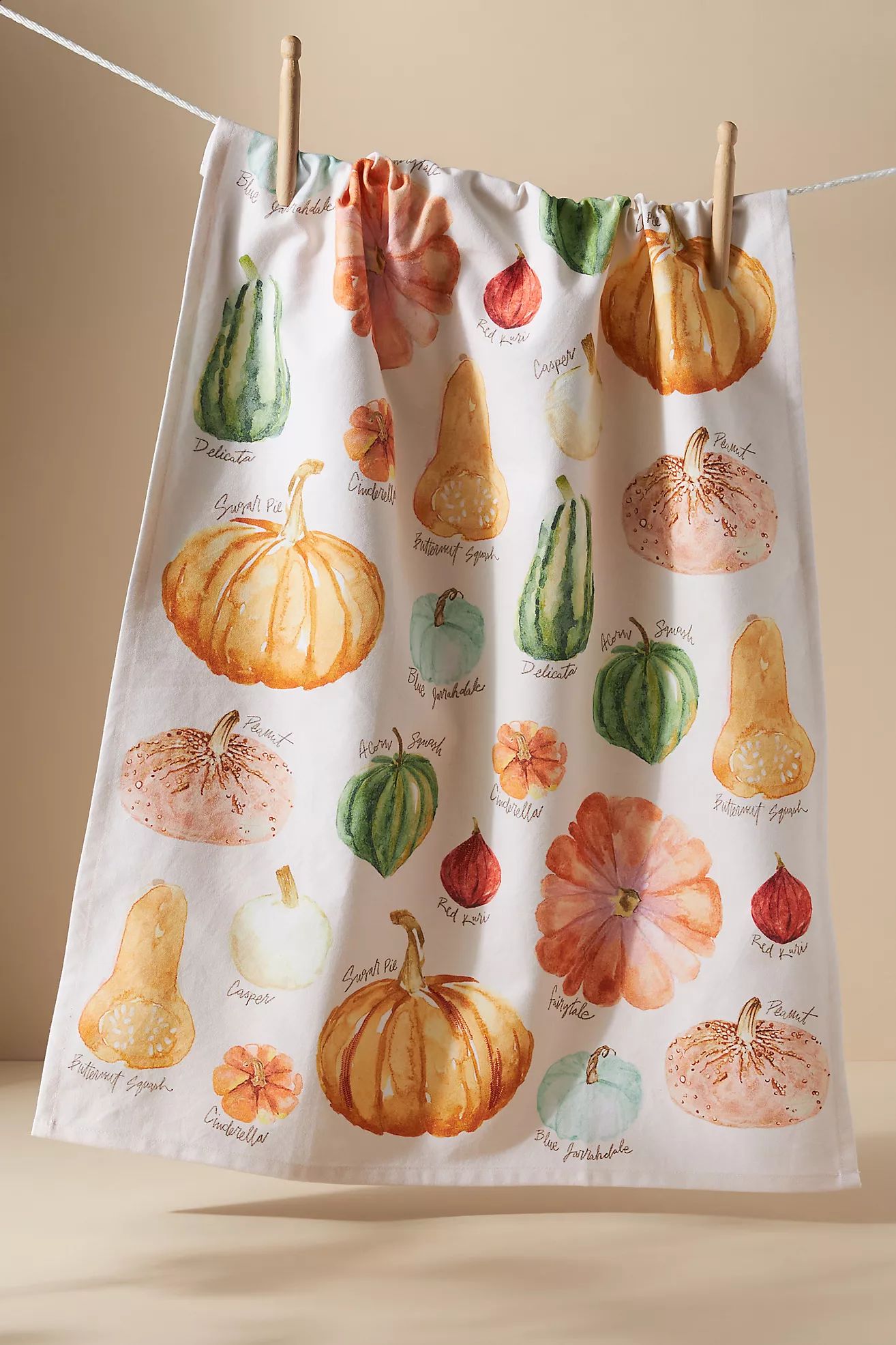 Types of Pumpkins Dish Towel | Anthropologie (US)