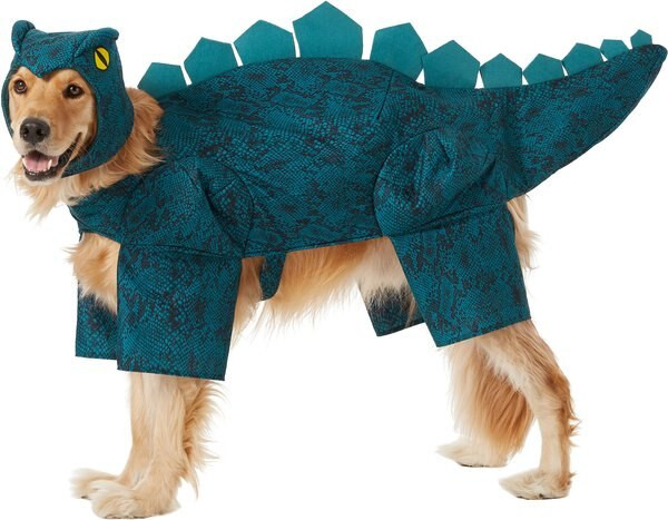 Frisco Stegosaurus Dinosaur Dog & Cat Costume | Chewy.com