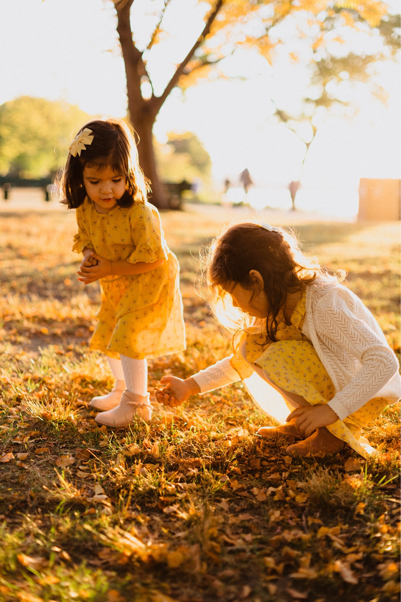 Another color combo that will be great for fall family photos is yellow and navy! I used this combo few years ago for our family photos. I buy kids dresses from Gap or Janie and Jack. I typically buy them one size up during sale for next season 😅

#LTKkids #LTKfamily #LTKHoliday