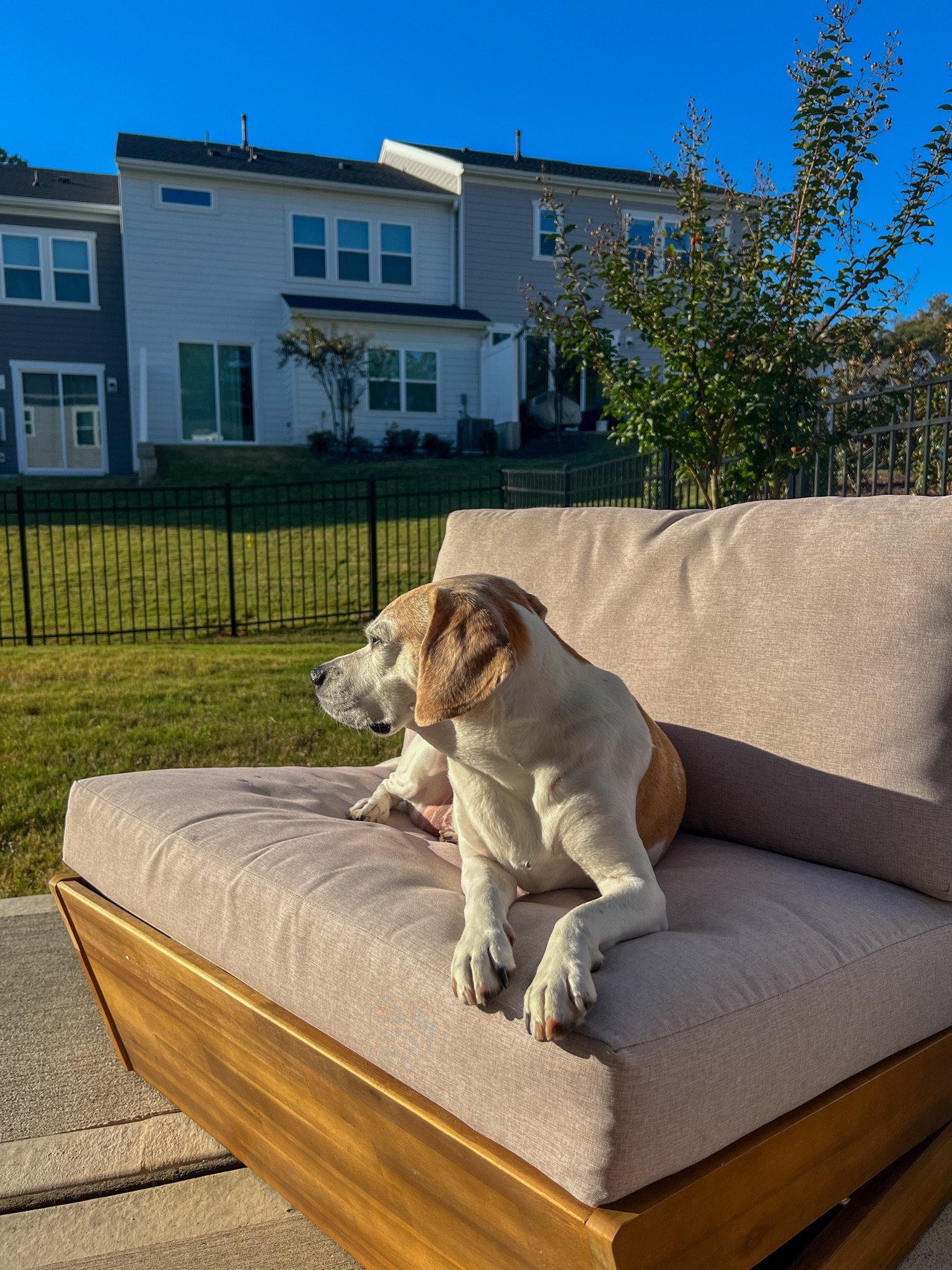 Wayfair home, Wayfair outdoor, Wayfair patio furniture 

#LTKHoliday #LTKHome #LTKCyberWeek