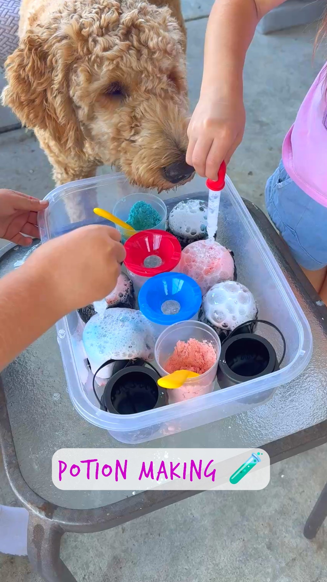 Easy fun entertainment for the kiddos 🧪🧙‍♀️


#halloween #scienceactivity #potionactivity #potionmaking #kidsactivity #kidsproject 

#LTKKids #LTKSeasonal #LTKFamily