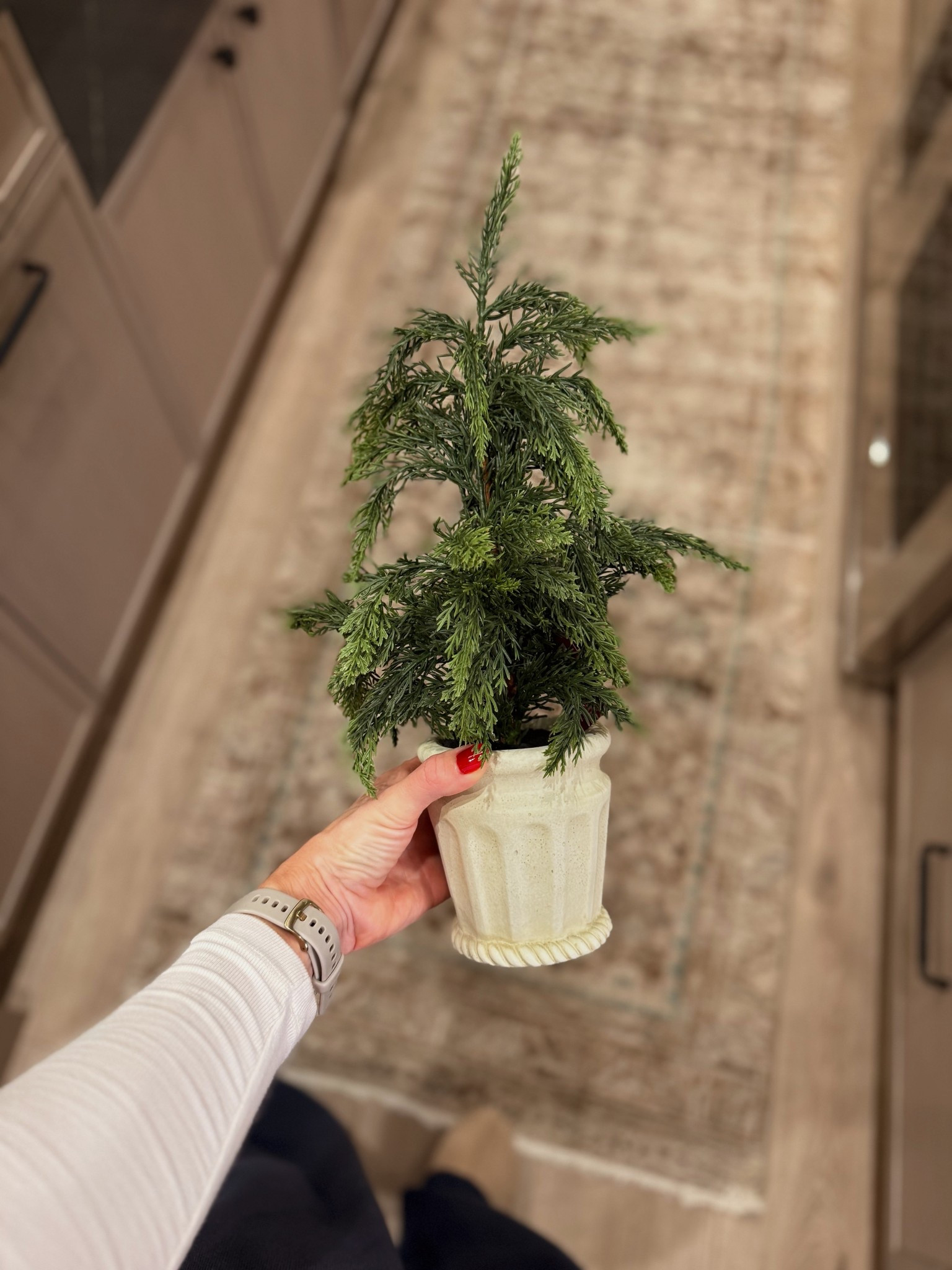The cutest tree on sale for $15.99. I love the pot it comes in!

#LTKHoliday #LTKSaleAlert #LTKHome