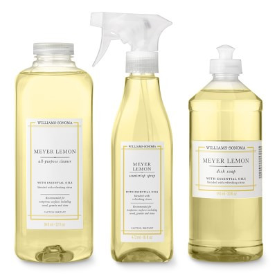Williams Sonoma Meyer Lemon Cleaning Set | Williams-Sonoma