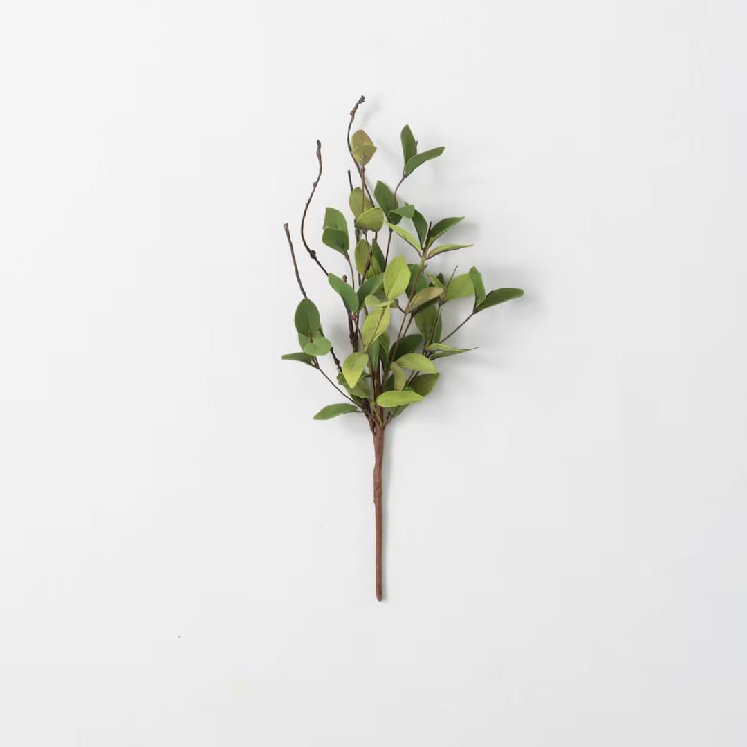 Ruscus Leafy Twig Pick | Etsy (US)