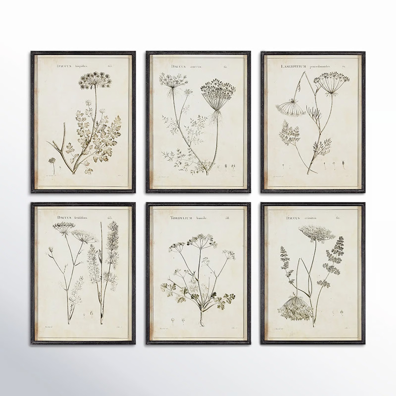 Bridgeton " Wild Flower " 6 - Pieces | Wayfair North America
