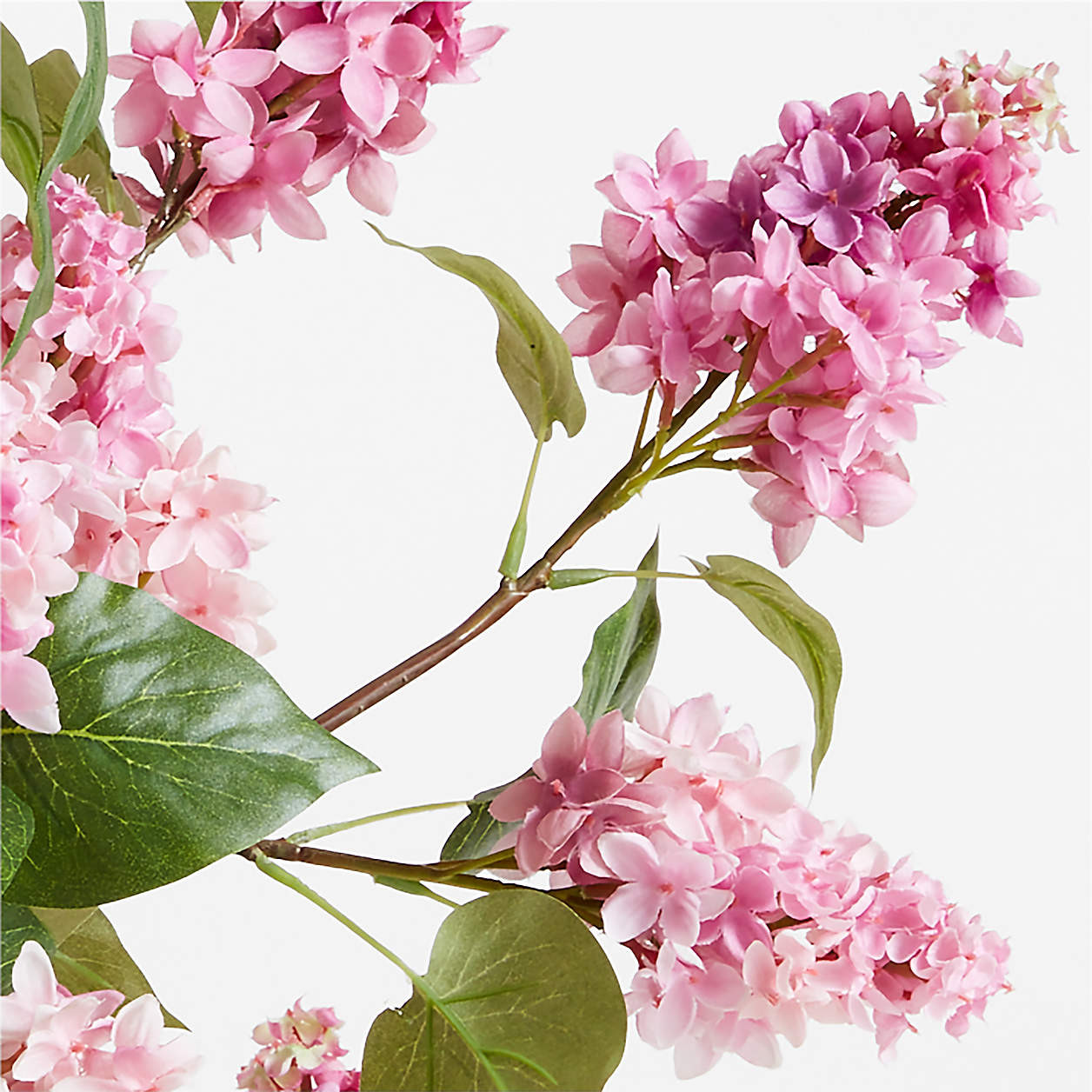 Faux Pink Lilac Spray 50" by Abigail Ahern + Reviews | Crate & Barrel | Crate & Barrel