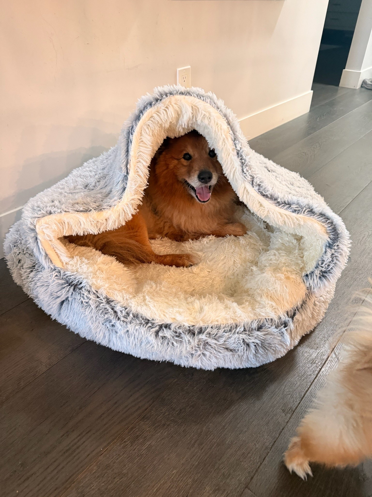Now that looks cozy!

#LTKgrwm #LTKdayinmylife