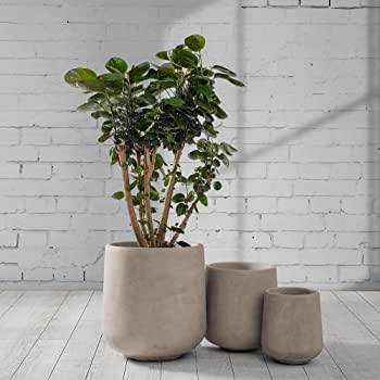 Kante 15.3"+11.6"+8.2" Dia Round Concrete Planter,Large Planter Pots Containers with Drainage Hol... | Amazon (US)