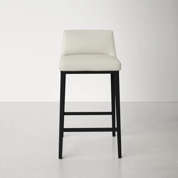 Brandi Bar & Counter Stool | Wayfair North America