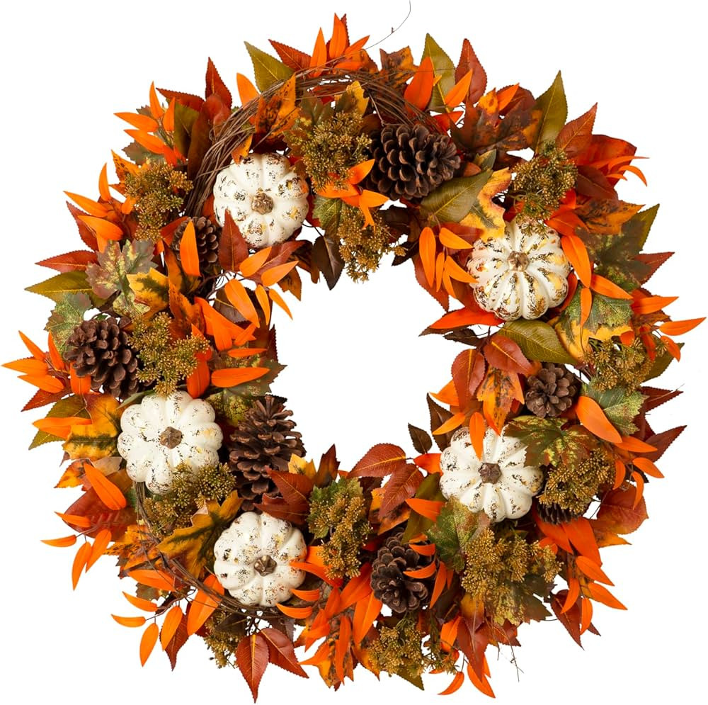 Balsam Hill 28in Fall Medley Artificial Wreath | Amazon (US)