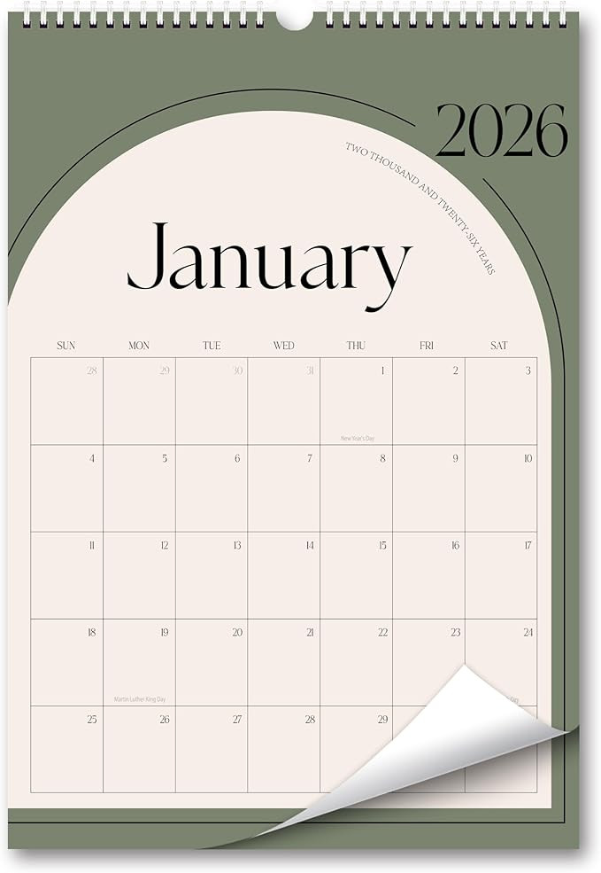 Aesthetic Wall Calendar 2026, 18 Monthly Horizontal Calendar January 2026 to June 2027, 14.5" x 1... | Amazon (US)