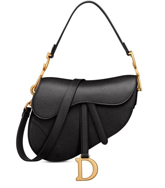 Saddle Bag - DIOR | 24S (APAC/EU)