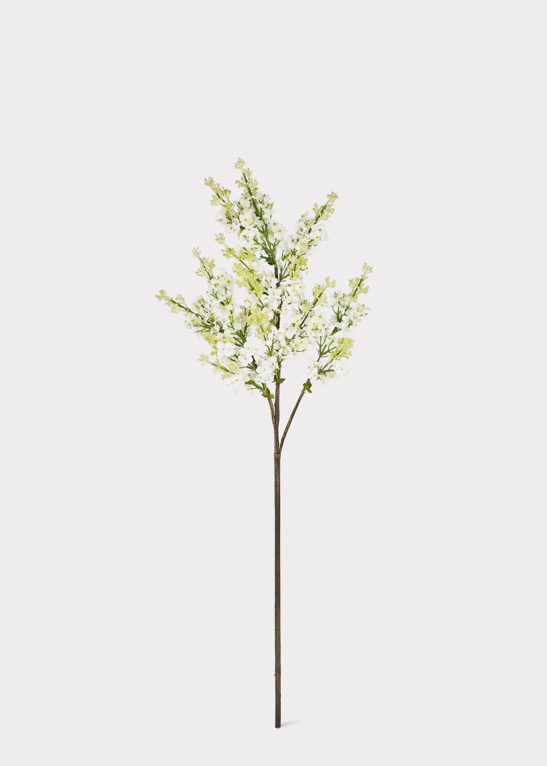 Lilac Branch in Cream | Fake Blooming Spring Flowers | Afloral | Afloral