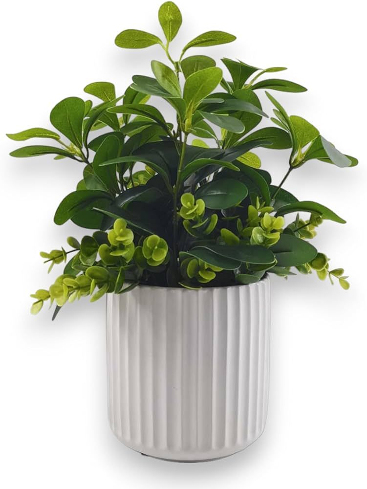 Derlily Artificial Plants Indoor for Office Home Decor Aesthetic, 12.6" Realistic Mini Indoor Sma... | Amazon (US)