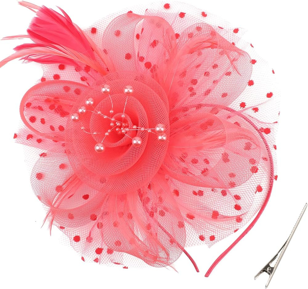 DRESHOW Fascinators Hat Flower Mesh Ribbons Feathers on a Headband and a Clip Tea Party Headwear ... | Amazon (US)
